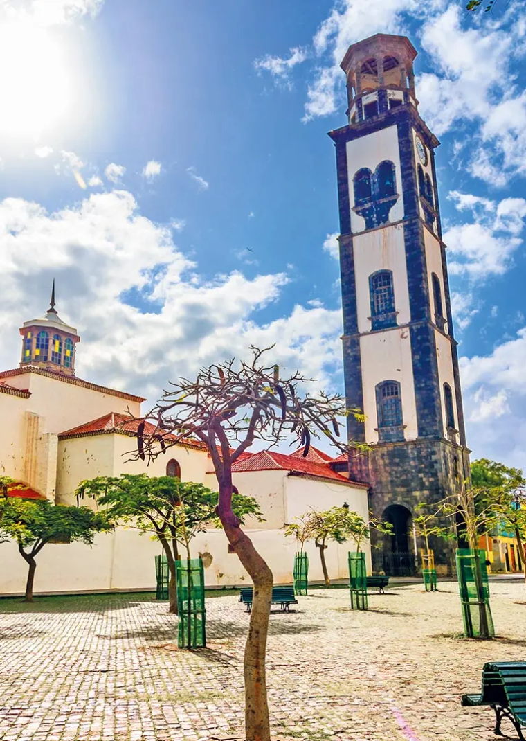 Trendtours - Santa Cruz